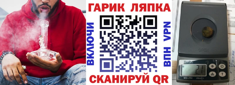 ГАШ Premium Олёкминск