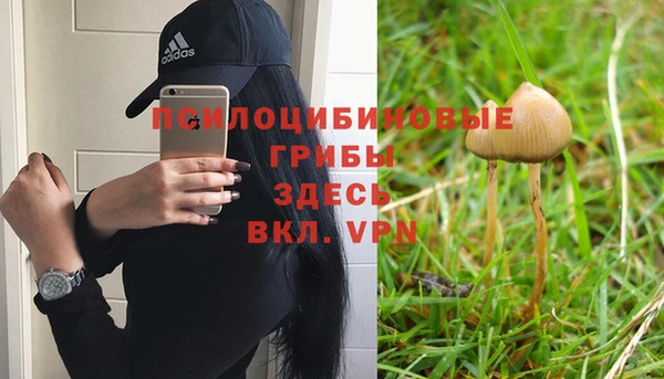 дурь Баксан
