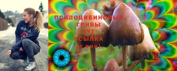 бошки Беломорск