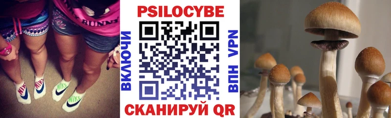 как найти закладки  Олёкминск  ссылка на мегу маркетплейс  Псилоцибиновые грибы GOLDEN TEACHER 